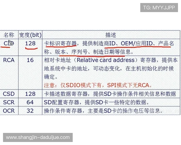 网赌pg是什么以及它的基本玩法和风险分析详解